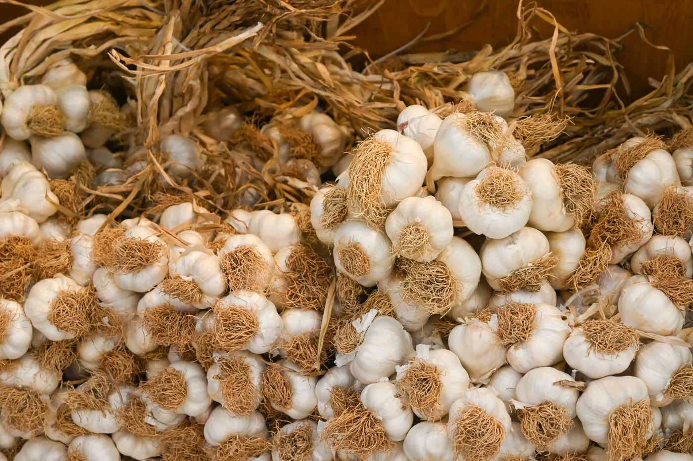 Dried Garlic